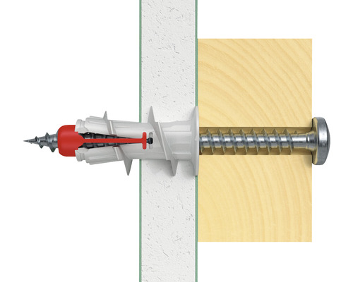 Dübel mit Schraube in Wand und Holz