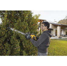 Mann schneidet Hecke mit Heckenschere im Garten