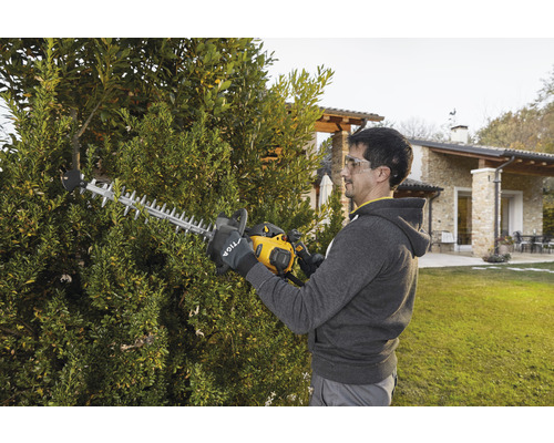 Mann schneidet Hecke mit Heckenschere im Garten