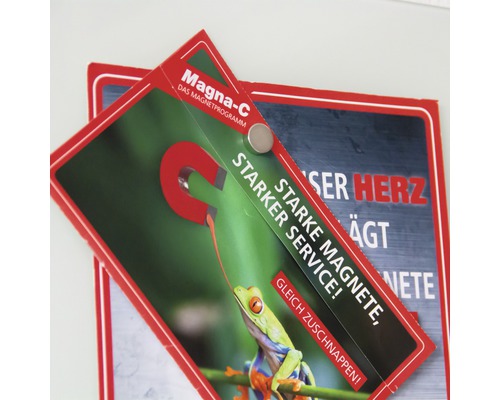 Magna-C Magnetprogramm mit Froschmotiv und rundem Magnet