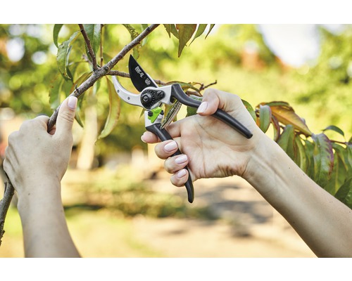 Eine Person schneidet einen Ast mit einer Gartenschere.