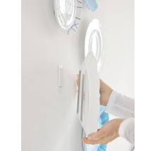 Person befestigt Teller mit Telleraufhänger an der Wand
