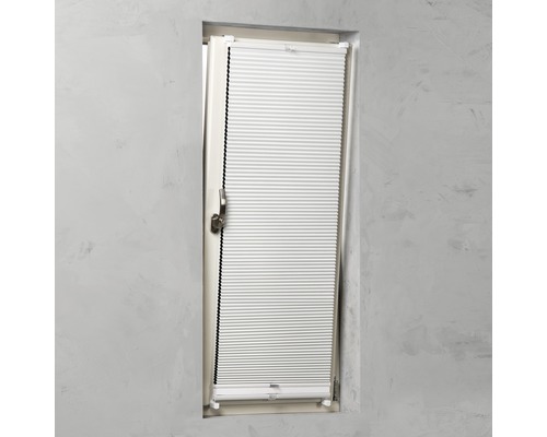 Plissee-Rollo am Fenster zur Lichtregulierung