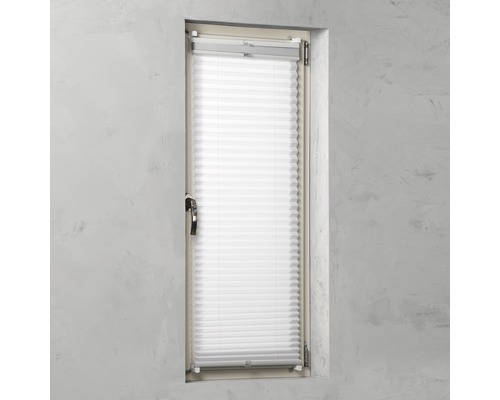 Fenster mit Plissee als Sicht- und Sonnenschutz