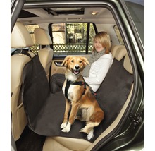 Hund im Auto mit Hundeautositzbezug und Sicherheitsgurt