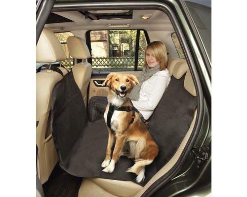 Hund im Auto mit Hundeautositzbezug und Sicherheitsgurt