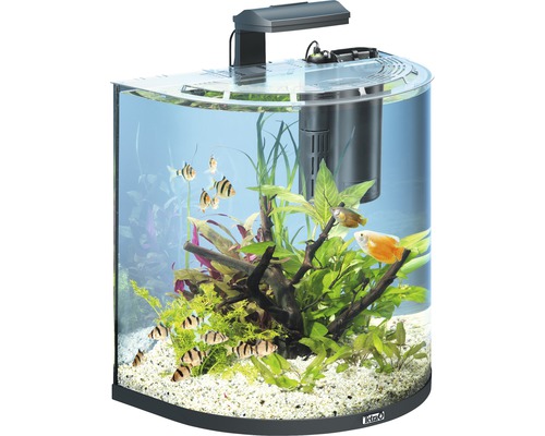 Nano Aquaristik