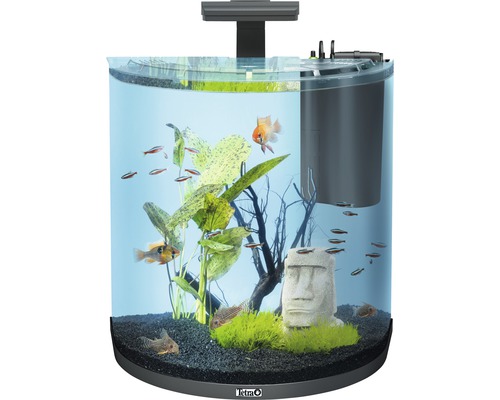 Aquarium mit Fischen, Pflanzen und Dekorationsfiguren