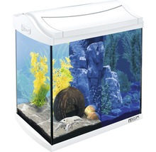 Aquarium mit Dekoration und einem Krebs