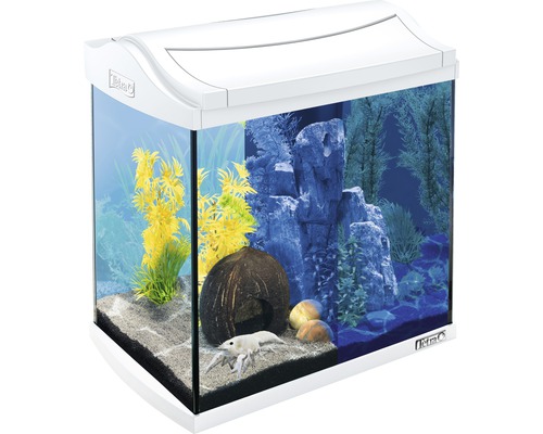 Aquarium mit Dekoration und einem Krebs