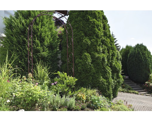 Gartenlandschaft mit Pflanzen, Blumen und einem Rosenbogen