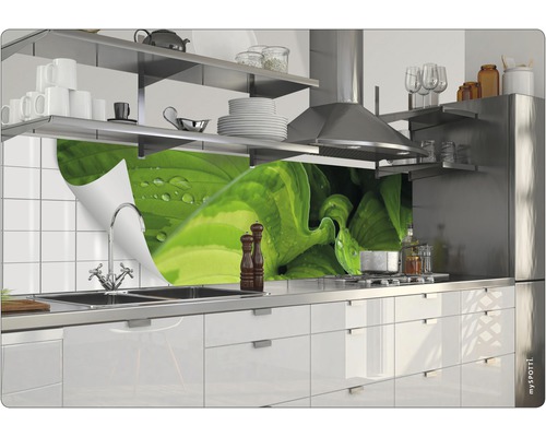 Küchenszene mit Arbeitsplatte, Spüle, Armatur und Spritzschutz mit Pflanzenmotiv