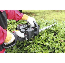 Person bedient eine Heckenschere zum Schneiden einer Hecke