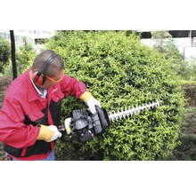 Mann schneidet Hecke mit Heckenschere