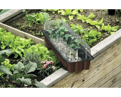 Hochbeet mit Anzuchtkasten und verschiedenen Pflanzen