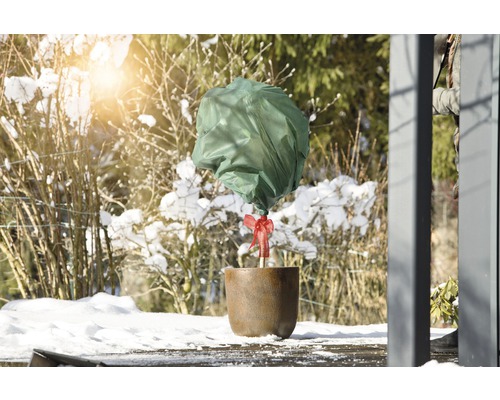 Pflanze im Topf mit Winterschutz im verschneiten Garten
