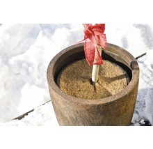 Blumentopf mit Kokosmatte und Baumsetzling im Schnee