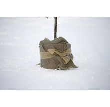 Eingewickelter Baumstamm im Schnee mit Juteband