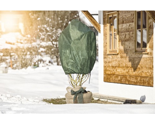 Eingepflanzter Baum mit Winterschutz im Garten