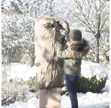 Frau befestigt Pflanzenschutzhülle an Pflanze im Wintergarten.