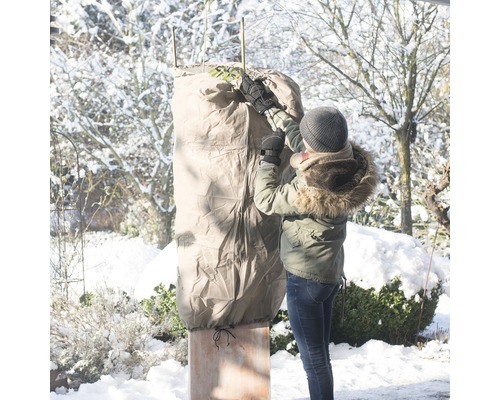 Frau befestigt Pflanzenschutzhülle an Pflanze im Wintergarten.