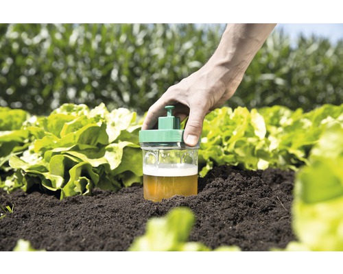 Schneckenfalle im Gemüsegarten