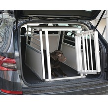 Hund in einer Aluminium Transportbox im Kofferraum eines Autos