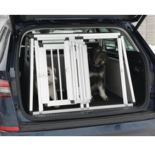 Zwei Hunde in einer Aluminium Hundetransportbox im Kofferraum eines Autos