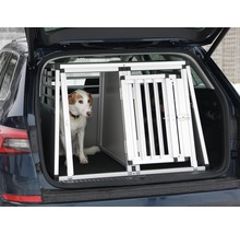 Hund in einer Aluminium Transportbox im Kofferraum eines Autos