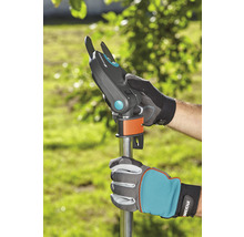 Gartenschere mit Stiel in Verwendung, gehalten von Gartenhandschuhen.