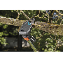 Gartenschere schneidet Ast