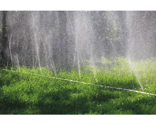 Bewässerungssystem im Garten beim Sprengen des Rasens