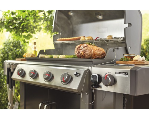 Edelstahl-Gasgrill mit Speisen auf dem Grillrost