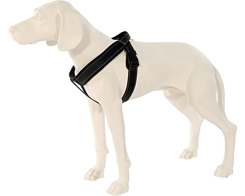 Schwarzes Hundegeschirr am Hundemodell