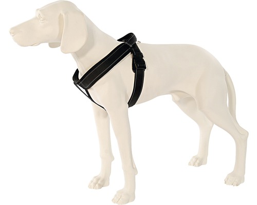 Hundegeschirr auf einer Hundefigur