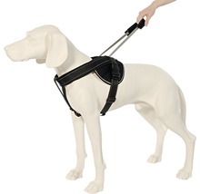 Hundegeschirr mit Leine am Hundemodell
