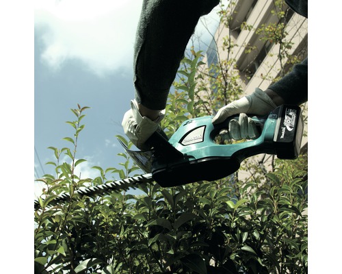 Eine Person schneidet mit einer Akku-Heckenschere eine Hecke.