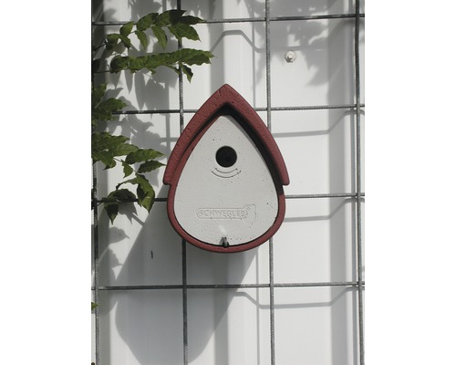 Vogelhaus zum Aufhängen an einer Wand mit Bewuchs