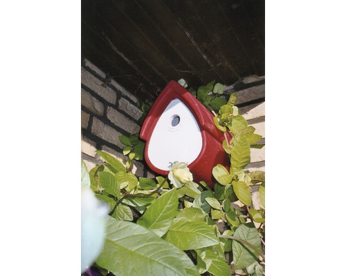 Vogelhaus an einer Backsteinmauer mit Pflanzen