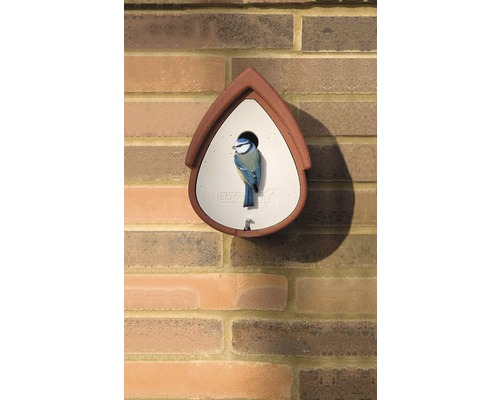 Vogelhaus an einer Ziegelwand mit Blaumeise