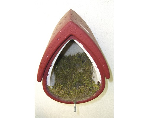 Vogelhaus mit Moos gefüllt