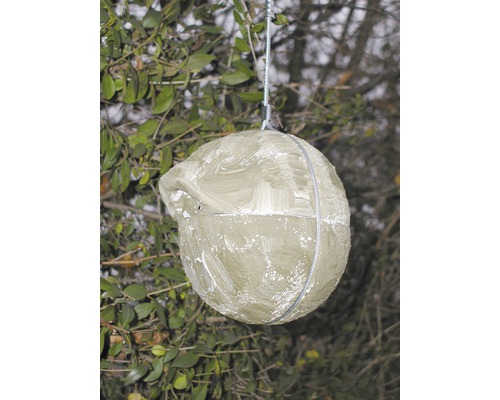 Runde Futterstation für Vögel, hängend im Baum