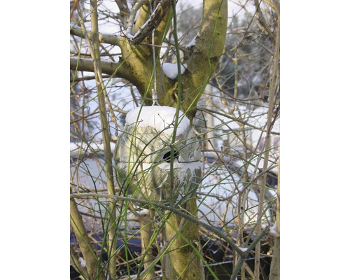Vogelhaus aus Metall mit Schnee auf einem Baum