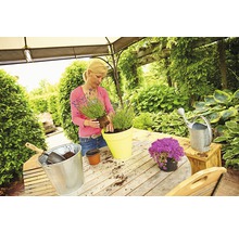 Frau pflanzt Lavendel in einen Topf auf einem Gartentisch im Freien.