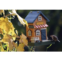 Dekoratives Vogelhaus im Café Design mit kleinem Vogel