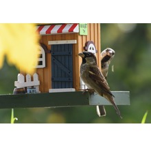 Spatz auf einem dekorativen Vogelhaus im Garten.