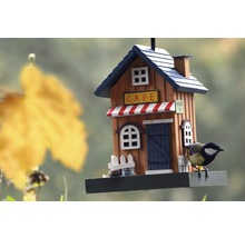 Dekoratives Vogelhaus im Café Design mit Blaumeise