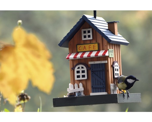 Dekoratives Vogelhaus im Café Design mit Blaumeise