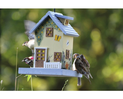 Dekoratives Vogelhaus mit Spatzen