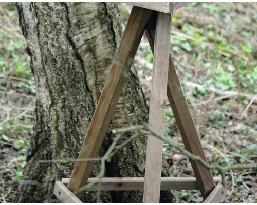 Holzkonstruktion neben einem Baumstamm im Garten.